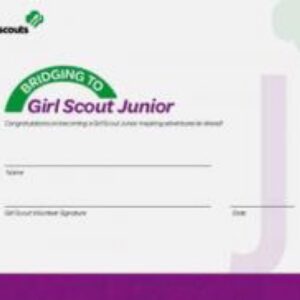 Bridge to Junior Certificate - Single (retired)
