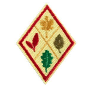 Cadette Think Like a Citizen Scientist Journey Award