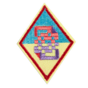 Cadette Cybersecurity Basics 1 Badge