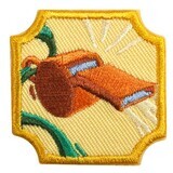Ambassador Coaching Badge