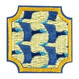 Ambassador Think Like a Citizen Scientist Award