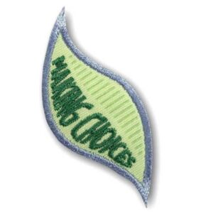 Daisy Making Choices: Financial Literacy - Leaf 2