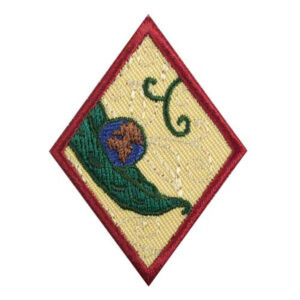 Cadette New Cuisine Badge