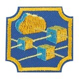 Ambassador Cybersecurity Basics 1 Badge