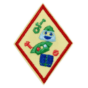 Cadette Designing Robots 2 Badge