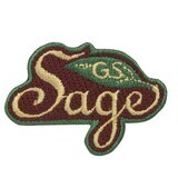 Ambassador Justice Award