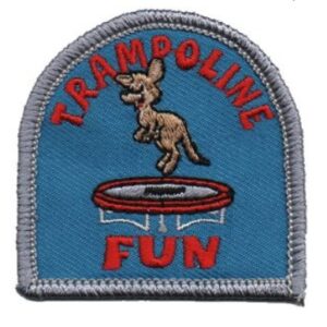Trampoline Fun