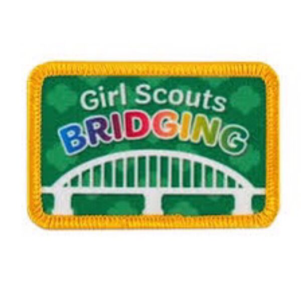 Bridging Patch - green