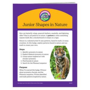 Junior Shapes In Nature Badge Requirement
