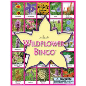 Bingo-Wildflower