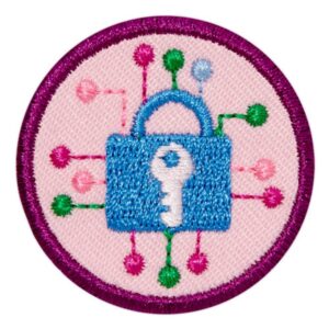 Junior Cybersecurity Investigator 3 Badge
