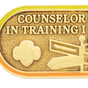 Counselor in Training I Award Pin