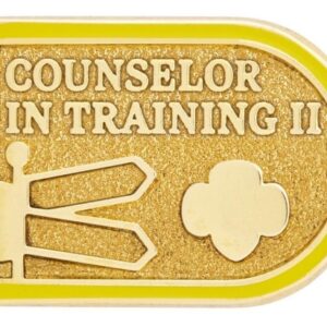 Ambassador Counselor In Training II Award Pin