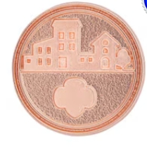 Take Action Award Pin