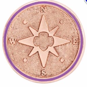 Junior True North Award Pin