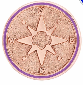 Junior True North Award Pin