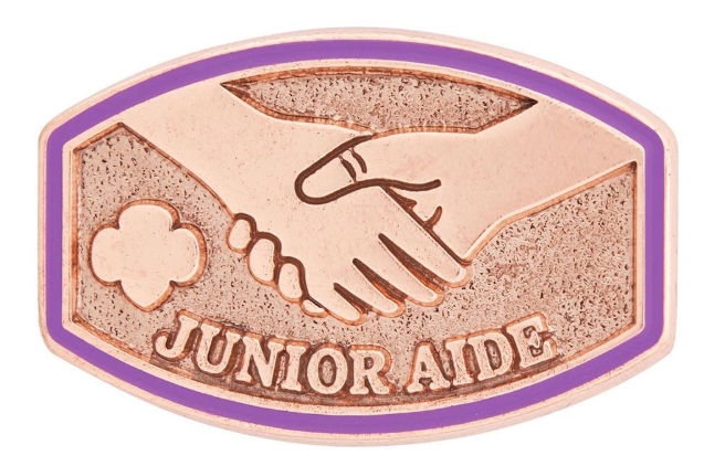 Junior Aide Award Pin