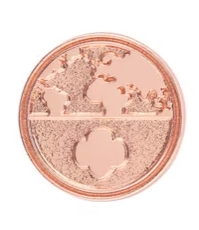 Global Action Award Pin