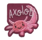 Axolotl