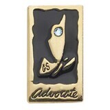 Ambassador Your Voice/World Pin