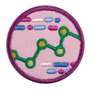 Junior Computer Science Journey Award - Think Like a Programmer