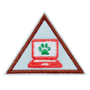 Brownie Cybersecurity Safeguards 2 Badge