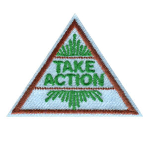 Brownie Take Action Award