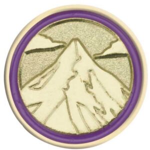 Junior Journey Summit Pin