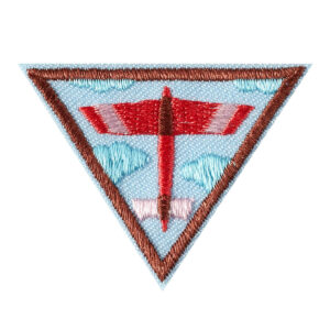 Brownie Fling Flyer Design Challenge Engineering Badge