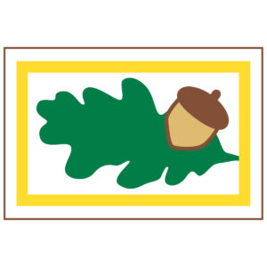 Outdoor Education / Nature - Outdoor Skills Mini Patch