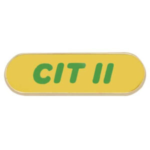 Counselor-In-Training II Pin (CIT II)
