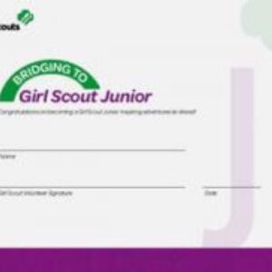 Bridge to Junior Certificate (12 Pack)