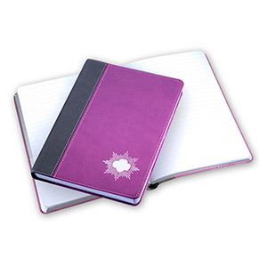 Silver Award Journal