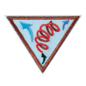 Brownie Leap Bot Design Challenge Engineering Badge