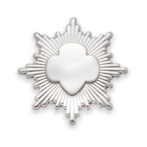 Silver Award Pin - Silver Plated