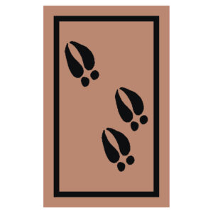 Animal Tracking - Outdoor Skills Mini Patch