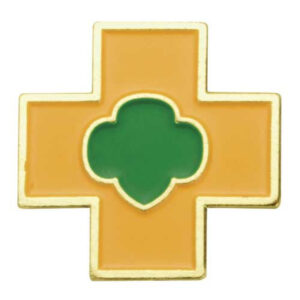 Ambassador Safety Award Pin