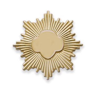 Gold Award Pin - Gold-Filled