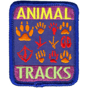 Animal Tracks